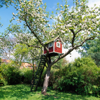 Blog-Treehouse