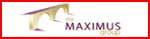 The Maximus Group